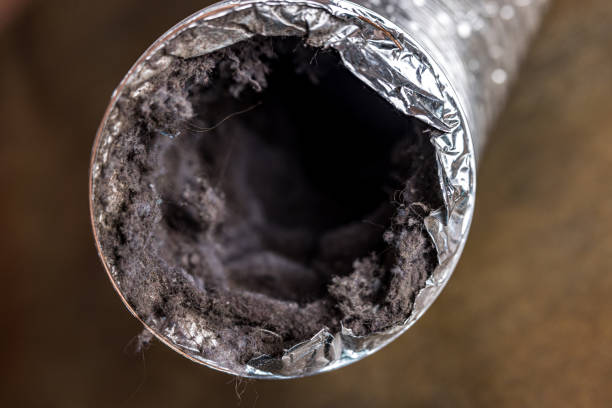Affordable HVAC Duct Cleaning in FL