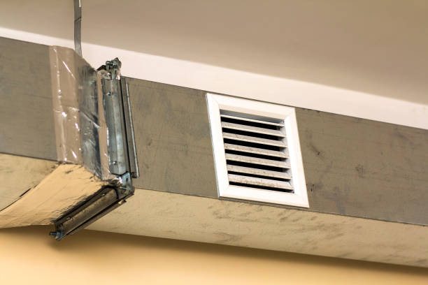 Best Local Air Duct Cleaning Services  in Point Baker, FL